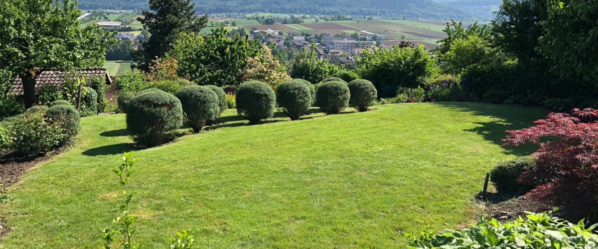 Shegu-garten-projekts-bild (5)
