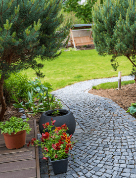 shehu-garten-bild-section-3-min